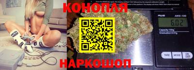 стафф Донецк