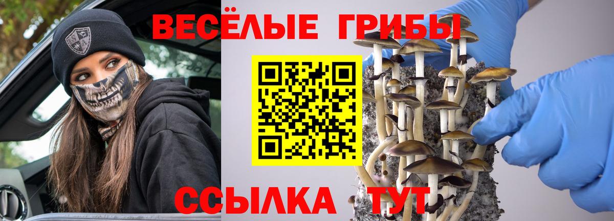 Галлюциногенные грибы MAGIC MUSHROOMS  Вход с VPN  Кушва 